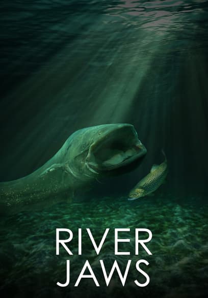 River Jaws