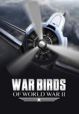 Watch Warbirds of World War II - Free TV Shows