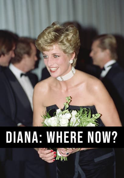 Diana: Where Now?