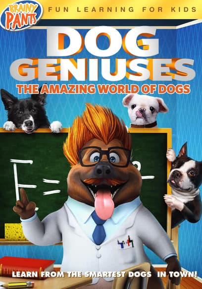 Dog Geniuses