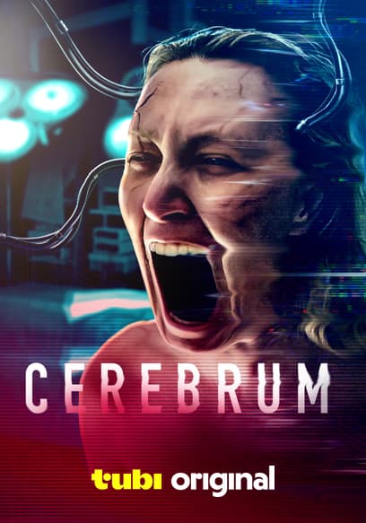 Cerebrum