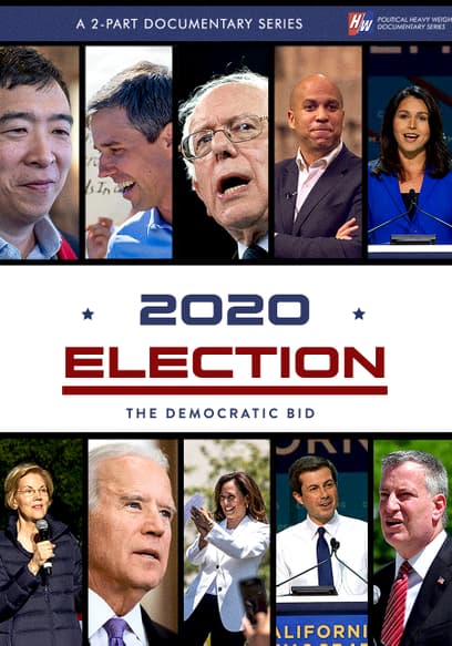 2020 Election: The Democratic Bid