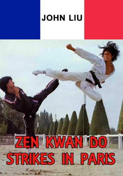 Zen Kwan Do Strikes in Paris
