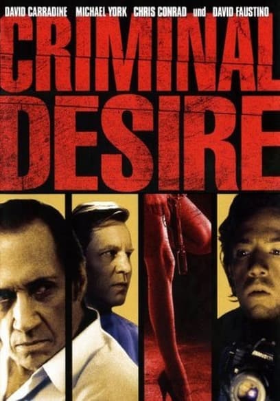 Criminal Desire (Lovers & Liars)