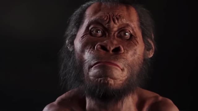 S02:E05 - Homo Naledi: The Star Man