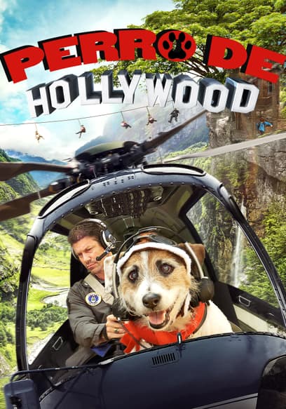 Perro de Hollywood (Doblado)