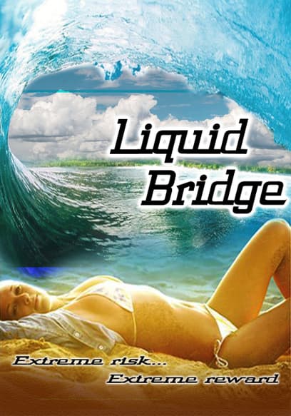Liquid Bridge