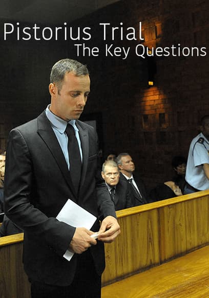 Pistorius Trial:  The Key Questions