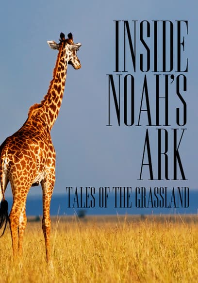 Inside Noah's Ark: Tales of the Grassland