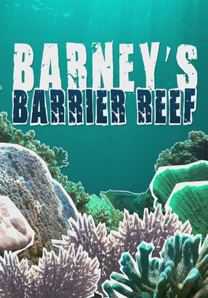 Barney's Barrier Reef