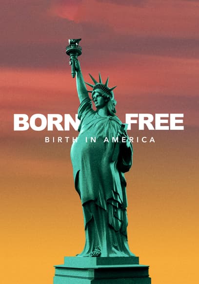 Born Free: Birth in America