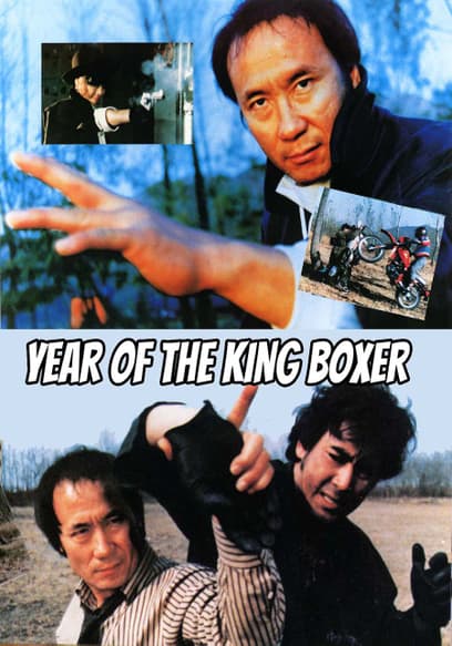 Year of the King Boxer