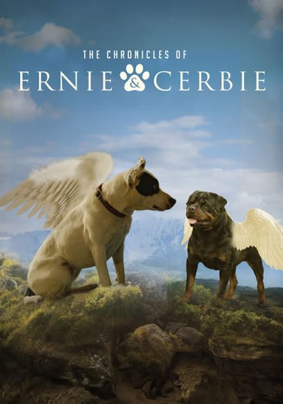 The Chronicles of Ernie & Cerbie