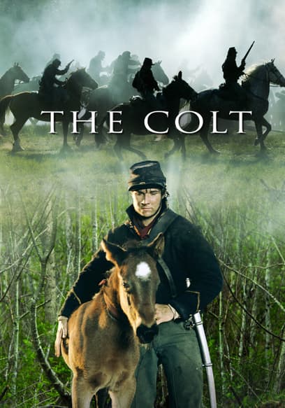 The Colt