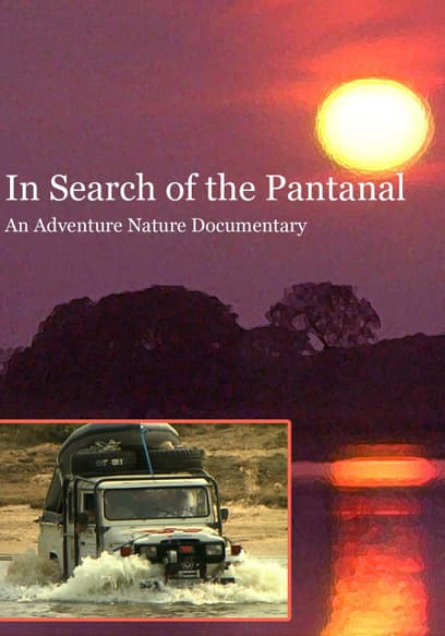 In Search of the Pantanal