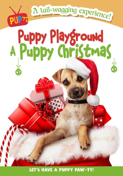 Puppy Playground: A Puppy Christmas