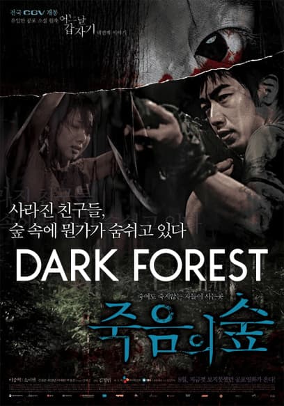 Dark Forest