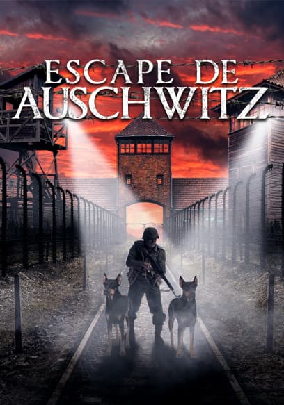 Escape De Auschwitz (Doblado)