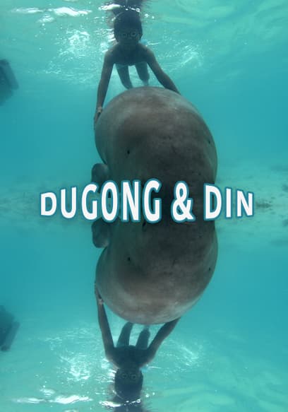 Dugong and Din