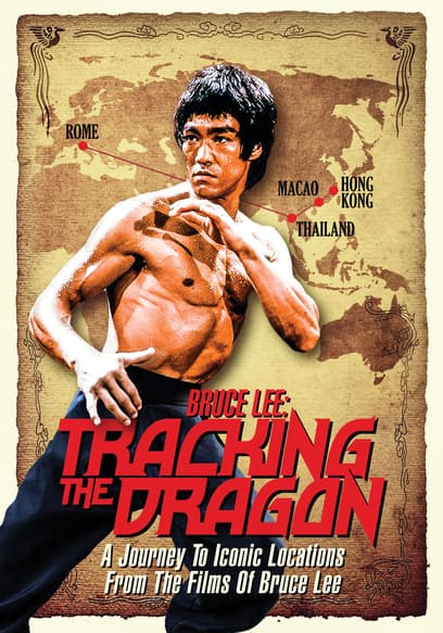 Bruce lee hot sale picture movies