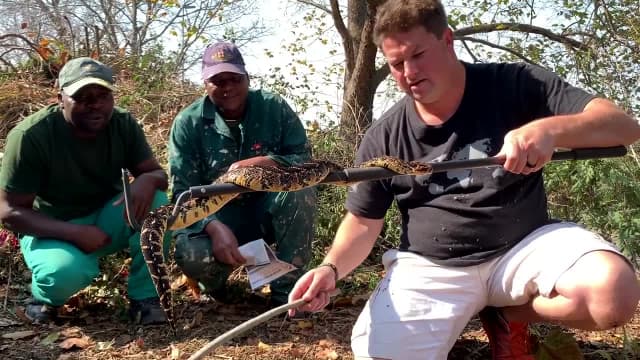 S01:E17 - Puff Adder Moved From Retirement Village