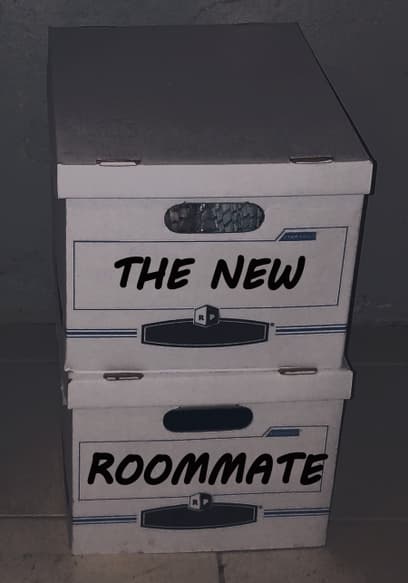 The New Roommate