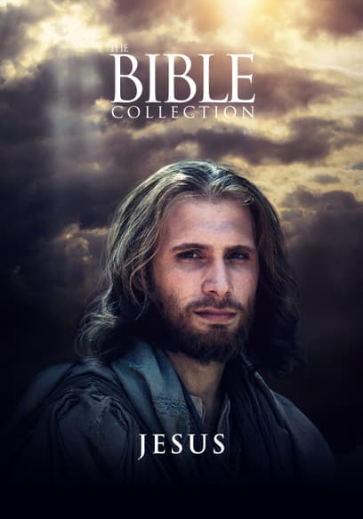 Bible Collection: Jesus