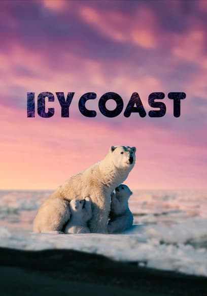 Icy Coast