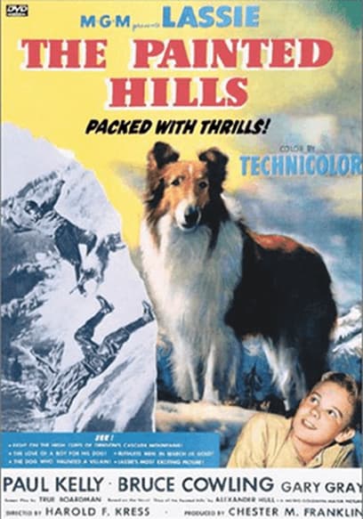 Lassie: The Painted Hills