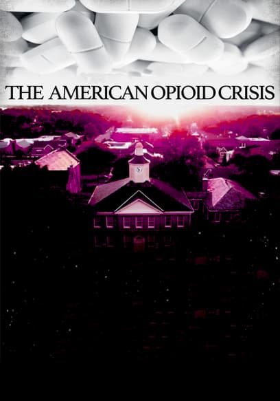 The American Opioid Crisis