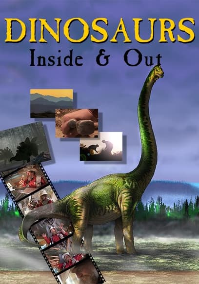 Dinosaurs Inside & Out