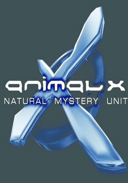 Animal X: Natural Mystery Unit