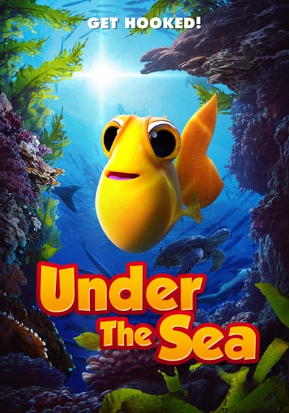 Fish School: Under the Sea