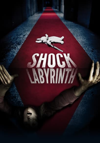 Shock Labyrinth (Dubbed)