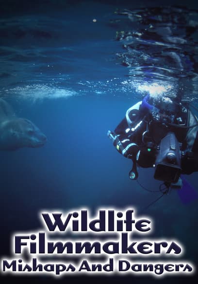 Wildlife Filmmakers: Mishaps and Dangers