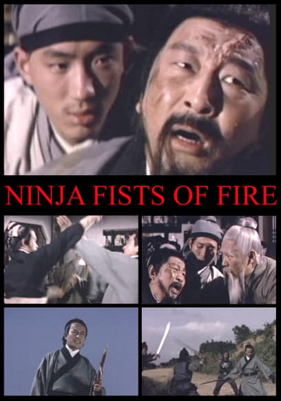 Ninja Fists of Fire