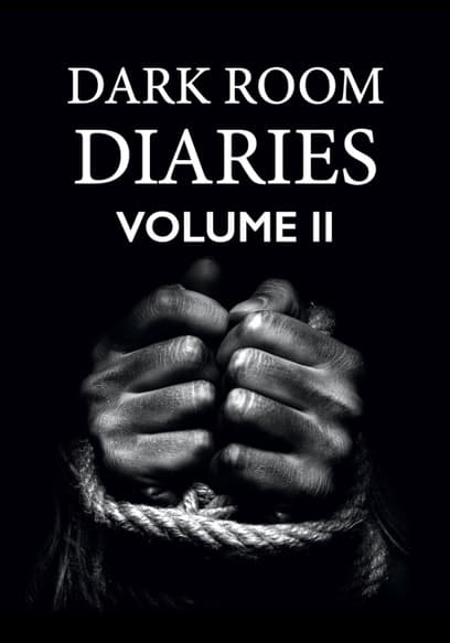 Dark Room Diaries (Vol. 2)