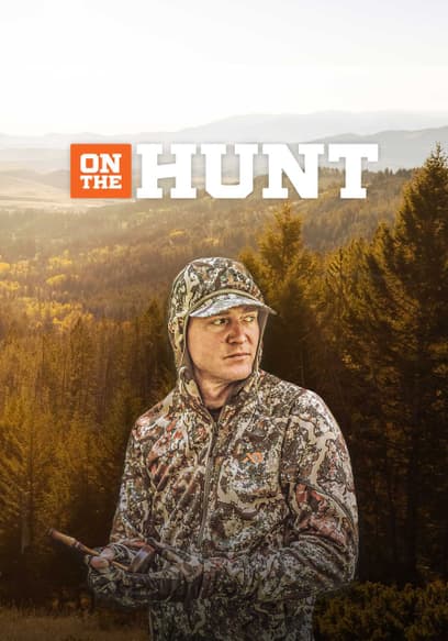 S01:E04 - Bow Hunting for Elk With Jason Phelps and Dirk Durham