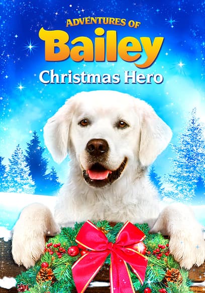 Adventures of Bailey: Christmas Hero