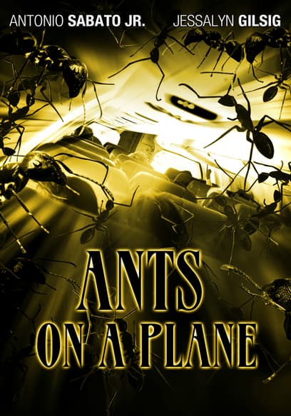Ants On a Plane