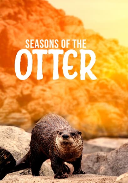 Seasons of the Otter