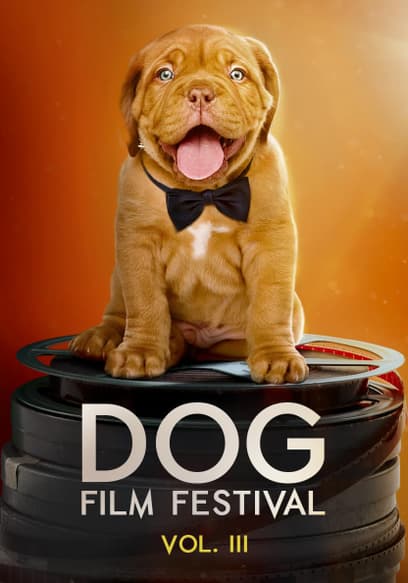 Dog Film Festival (Vol. 3)