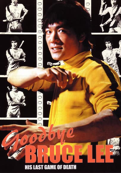 AU REVOIR BRUCE LEE visual data 6