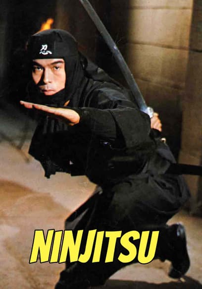Ninjitsu (Doblado)