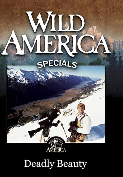 Wild America Specials: Deadly Beauty