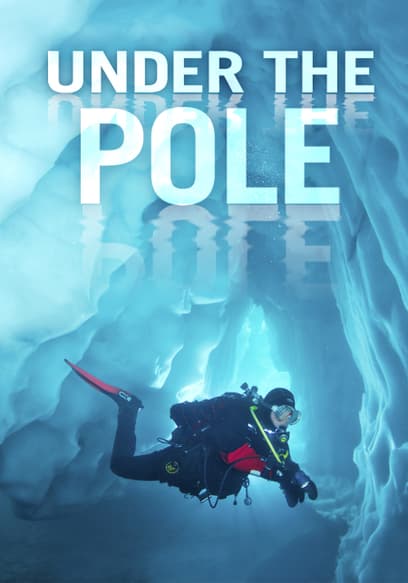 S01:E03 - Polar Immersion