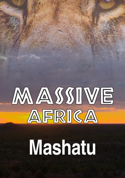 Massive Africa: Mashatu