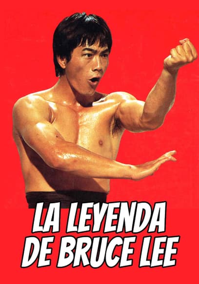 La Leyenda De Bruce Lee (Doblado)