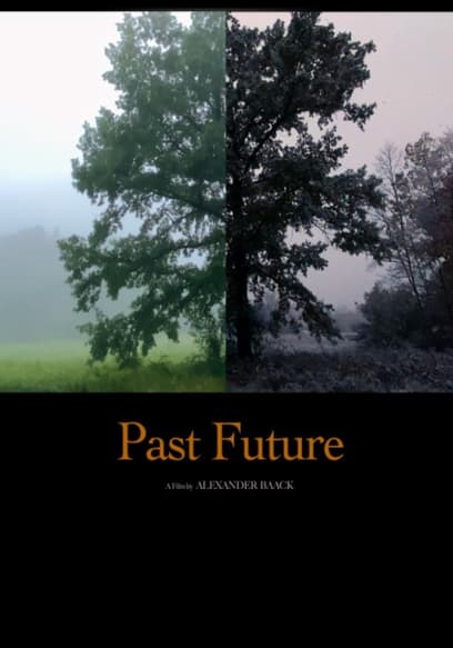 Past Future