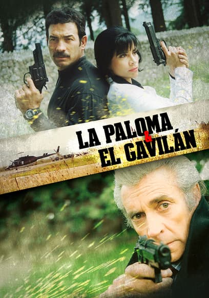 La Paloma Y El Gavilán